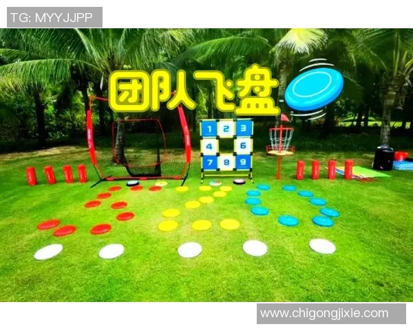 运动新风潮飞盘运动引领上海TOP10团队崛起