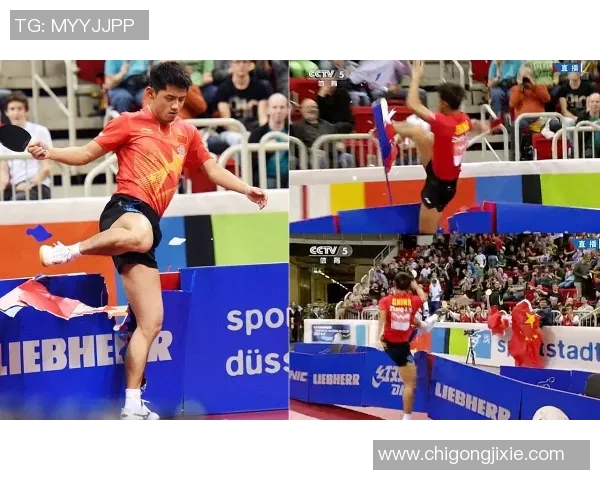 运动最新数据杭州网球队网球状态排名创新高展现实力与潜力的辉煌时刻