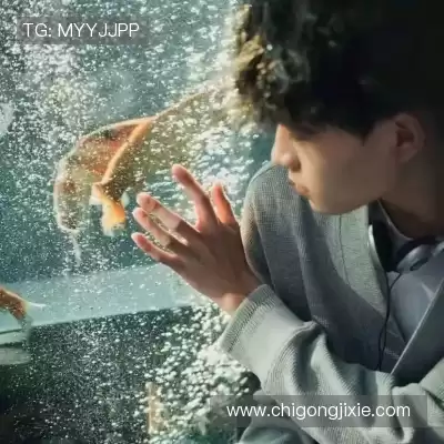 钱奔洋